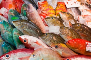 Yoko: японская рыба по специальной цене