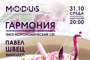 Эногастрономический сет в Modus